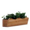 Summer Cedar A wooden rectangular planter box filled with lush green plants against a white background. summercedar.com