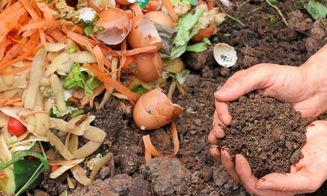 Summer Cedar Hands holding rich compost soil above a pile of kitchen scraps and eggshells, highlighting the sustainable gardening practice of turning garden waste into nutrient-rich compost for gardening. summercedar.com