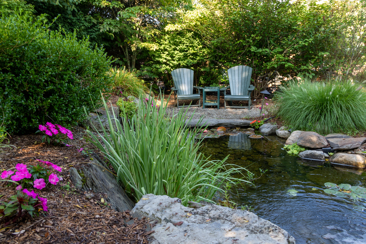 Zen backyard with garden pond, natural landscaping, and peaceful seating area